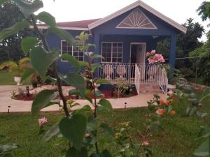 a blue house with a gate and flowers at Something Blue in Savanna-la-Mar