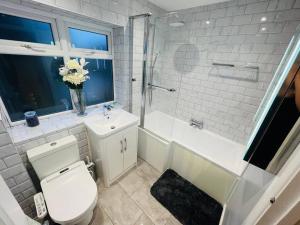 a bathroom with a toilet and a sink and a shower at Fullers mead in Potter Street