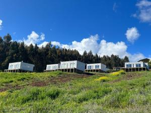 three white buildings on top of a hill at Cabañas Santa Elena, Curanipe in Pelluhue
