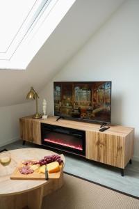 a living room with a fireplace and a tv at Luxuriöses Messe Apartment an der Leineinsel in Hannover, direkt am Wasser in ruhiger Laage in Hannover