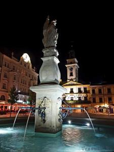 a fountain in the middle of a city at night at Apartament Sejmowa in Cieszyn