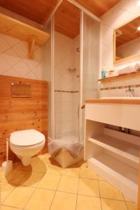 a bathroom with a toilet and a shower at Tignes Le Lac - Appartement au pied des pistes (6 personnes) in Tignes