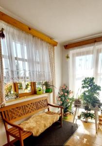a living room with a bench and windows at Pokoje v šumavském domě in Nové Hutě