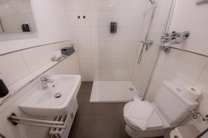een badkamer met een toilet, een wastafel en een douche bij Come4Stay Passau - Wohnung Eduard Hamm - 2 Zimmer I bis zu 4 Gäste in Passau