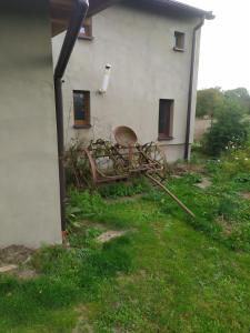 Gallery image of Agroturystyka Leśne Zacisze in Rybnik