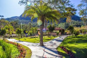 una palmera en un parque con una acera en Art Green Teresópolis, en Teresópolis