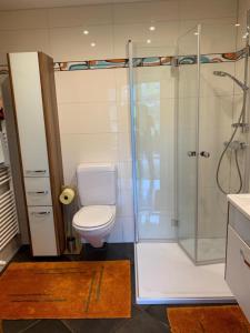 a bathroom with a toilet and a glass shower at Ferienwohnung Prantner in Sellrain