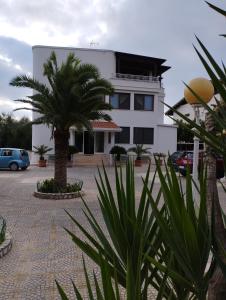 een wit gebouw met een palmboom ervoor bij Villa Erry in Trani