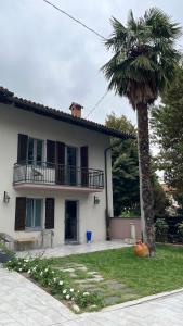 a palm tree in front of a house at L'Alba in Magliano Alfieri