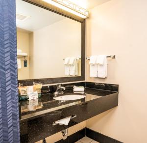 Koupelna v ubytování Fairfield Inn & Suites by Marriott San Antonio Downtown/Alamo Plaza