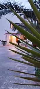 Fotografie z fotogalerie ubytování Villa Erry v destinaci Trani