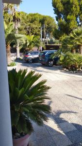 twee auto's geparkeerd op een parkeerplaats met palmbomen bij Villa Erry in Trani
