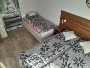 een kamer met 2 bedden en een boeddha-muurschildering bij Miodowa in Zwierzyniec