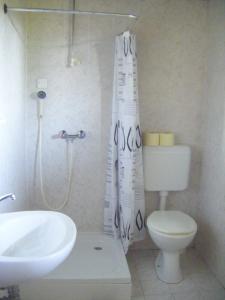 een badkamer met een toilet, een wastafel en een douchegordijn bij Guest House Kmetija in Dane