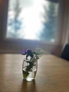 a glass vase with flowers sitting on a table at Lakeside cabin in Thingvellir in Úlfljótsvatn