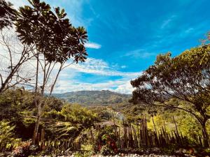 vistas a un valle con árboles y montañas en Cabaña Aguadulce, en San Rafael