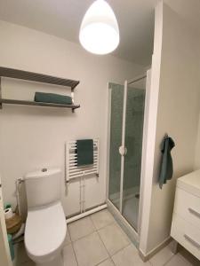 La salle de bains est pourvue de toilettes et d'une douche en verre. dans l'établissement T2 contemporain, parking , gare à 12’ de tramway, à Tours