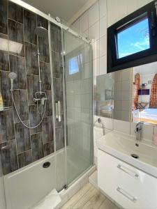 TV y baño con ducha y lavabo. en JANUS COUNTRY SITE Üdülőházak en Szakcs