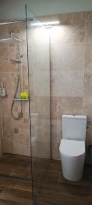 uma casa de banho com um WC e uma cabina de duche em vidro. em Soley Bungalows Carambole 2 pers Adult only em Sainte-Anne