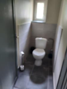 a small bathroom with a toilet and a window at le gite du Montcalm in Auzat +4 photos