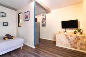 uma sala de estar com uma cama e uma televisão de ecrã plano em LE COSMO Du Grand Bassin Avec Terrasse em Castelnaudary