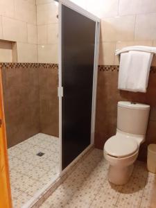 La salle de bains est pourvue de toilettes et d'une douche en verre. dans l'établissement Hotel Santa Engracia, à Ciudad Valles