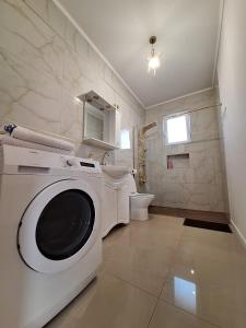 a washing machine in a bathroom with a toilet at Casa de langa lac in Oradea