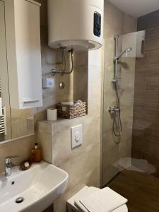a bathroom with a shower and a sink and a toilet at Jahorina Apartment4Two in Jahorina +6 photos