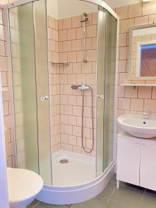 W łazience znajduje się prysznic i umywalka. w obiekcie Guesthouse Mikuláš Mikulov - free parking in the city center w mieście Mikulov