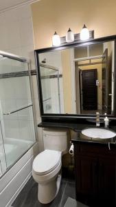 a bathroom with a toilet and a sink and a mirror at Entire Guest Suite - 1 bedroom w/ Private Entrance in Surrey