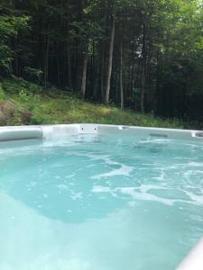 una piscina de agua azul con árboles en el fondo en Chalet Boreal Mont-Blanc, en Saint-Faustin