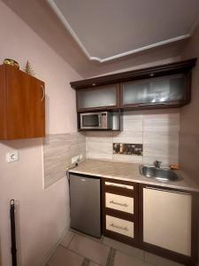 a small kitchen with a sink and a microwave at Квартира у Львові біля Залізничного вокзалу на вулиці Марка Вовчка 8 in Lviv