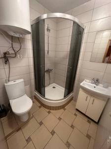 a bathroom with a shower and a toilet and a sink at Квартира у Львові біля Залізничного вокзалу на вулиці Марка Вовчка 8 in Lviv