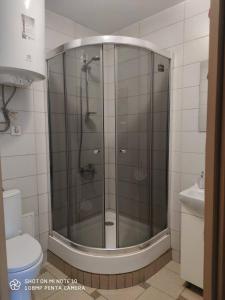 a glass shower in a bathroom with a toilet at Квартира у Львові біля Залізничного вокзалу на вулиці Марка Вовчка 8 in Lviv