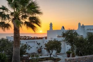 Villa con una palmera frente a la puesta de sol en Anema Boutique Hotel & Villas Santorini, en Vourvoúlos