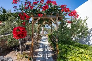 a garden with red flowers on a wooden pergola at Anema Boutique Hotel & Villas Santorini in Vourvoúlos