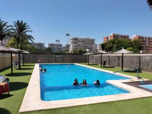a group of people swimming in a swimming pool at GLP Dreams Torre Alazan in Alicante
