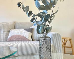 eine Vase mit einer Pflanze vor einer Couch in der Unterkunft Ferienwohnung Tiefenbach mit Garten in Oberstdorf