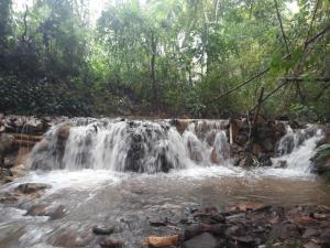 a waterfall in the jungle on the way at Espaço Viverde Pousada e Retiros in Brumadinho