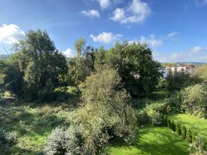 Elle offre une vue sur un jardin avec des arbres et de la pelouse. dans l'établissement Araliya, à Cracovie