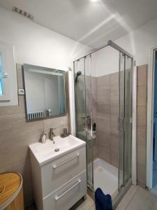 une salle de bains avec douche, lavabo et miroir dans l'établissement LE CITRONNIER, à Lamalou-les-Bains