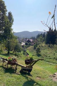 Příroda nedaleko apartmánu + 17 fotografií