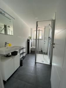 a bathroom with a shower and a sink and a mirror at Ferienwohnung Eifelglück in Pelm