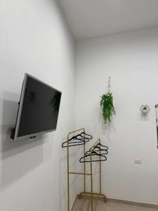 Un televizor și/sau centru de divertisment la Del Carmine 23