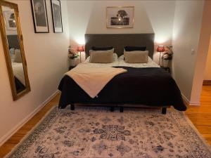 1 dormitorio con 1 cama grande y 1 alfombra en Bärsta BnB, en Kolbäck