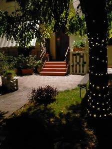 a group of stairs with lights on a tree at La Magnolia - Fano in Fano