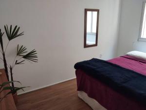 a bedroom with a bed and a mirror on the wall at Aconchego nas Montanhas in São Thomé das Letras