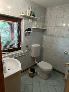 La salle de bains est pourvue de toilettes et d'un lavabo. dans l'établissement Hiška na gorci, à Podčetrtek