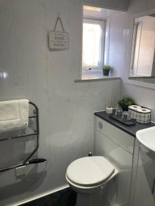 a white bathroom with a toilet and a sink at Blue Ball Inn, Sandygate, Exeter in Exeter