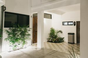 a hallway with potted plants in a house at Casa Canona in La Paz